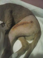 /album/fotogaleria/buda-jpg/