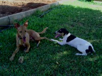 /album/fotogaleria/img-20140906-113534-jpg/