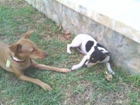 /album/fotogaleria/img-20140906-114246-jpg/