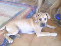 /album/fotogaleria/tai-jpg/