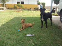 /album/fotogaleria/img-20140925-132118-jpg/