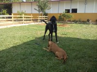 /album/fotogaleria/img-20140925-132240-jpg/