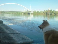 /album/fotogaleria/collen-jpg/