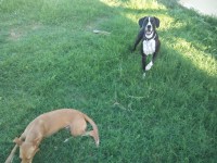 /album/fotogaleria/lau1-jpg/