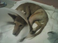 /album/fotogaleria/buda1-jpg/