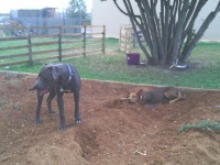 /album/fotogaleria/img-20140915-142210-jpg/