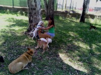 /album/fotogaleria-cuidador-de-perros/img-20140417-124021-jpg/