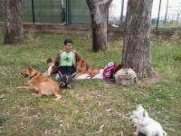 /album/fotogaleria-cuidador-de-perros/img-20140419-wa0002-jpg/