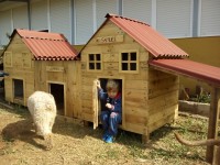 /album/fotogaleria-cuidador-de-perros/img-20150228-122441-jpg/